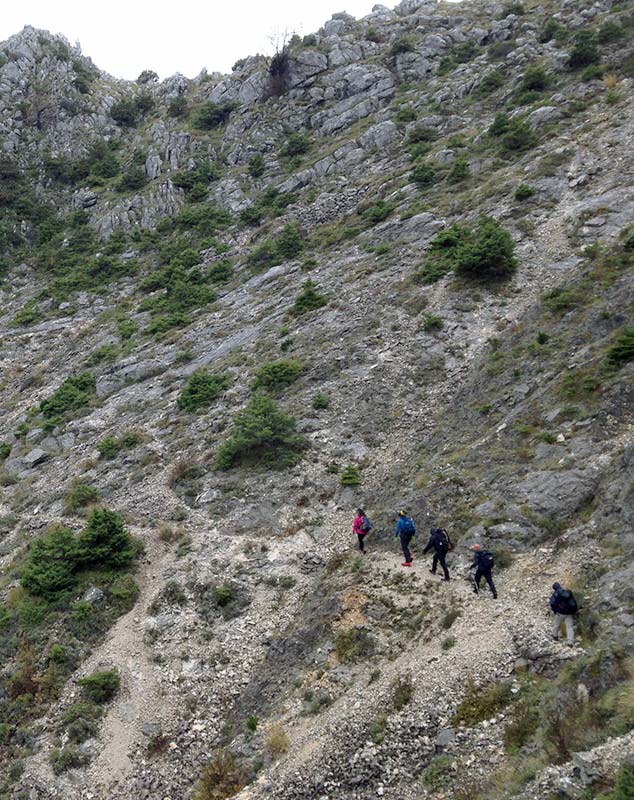 Hiking - Compass Outdoor Adventures