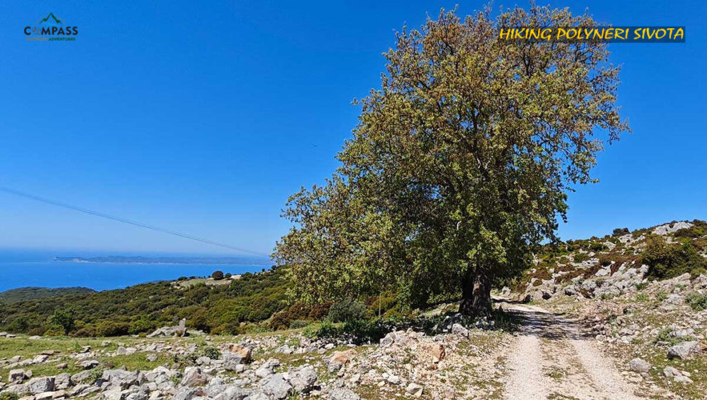 Hiking Polyneri - Vrachonas - Sivota
