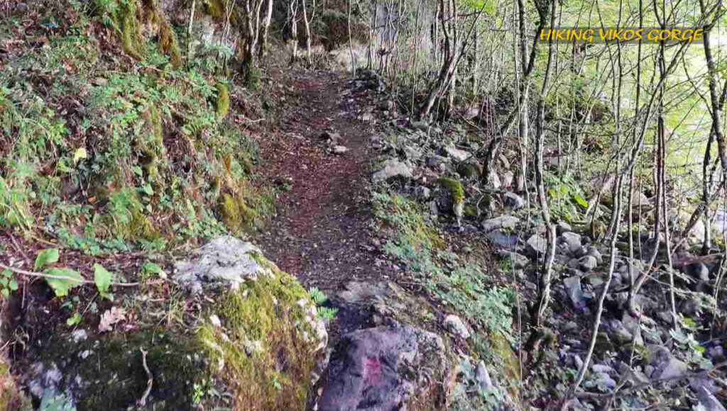 Hiking Vikos Gorge