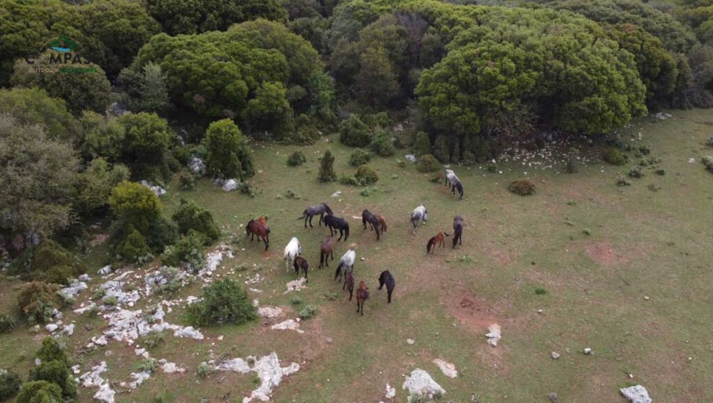 Compass Outdoor Adventures - Sivota Ride