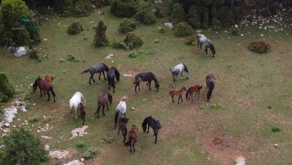 Compass Outdoor Adventures - Sivota Ride