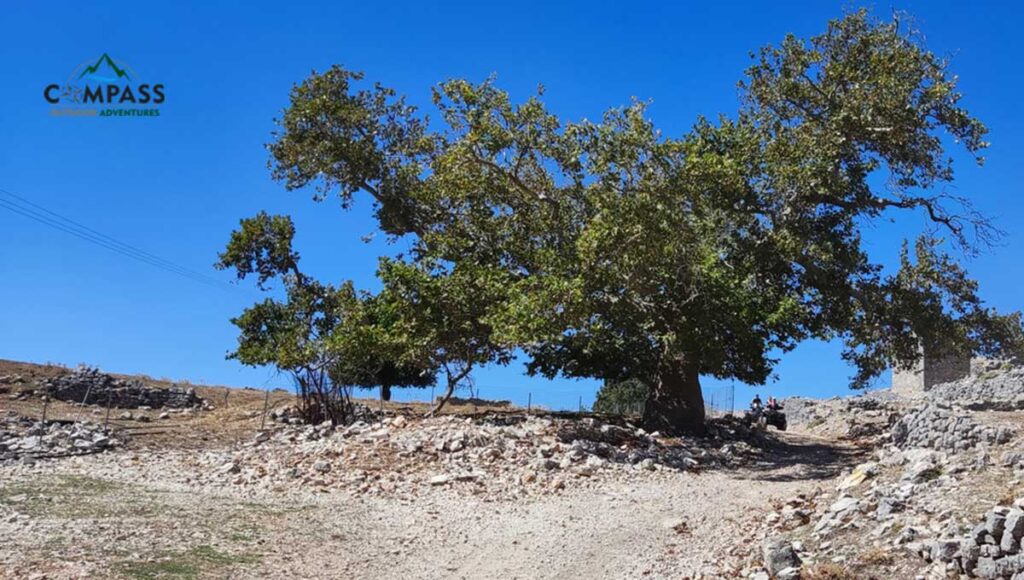 Compass Outdoor Adventures - Sivota Ride